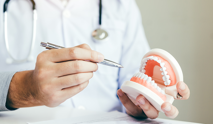 Doctor pointing at a dental model